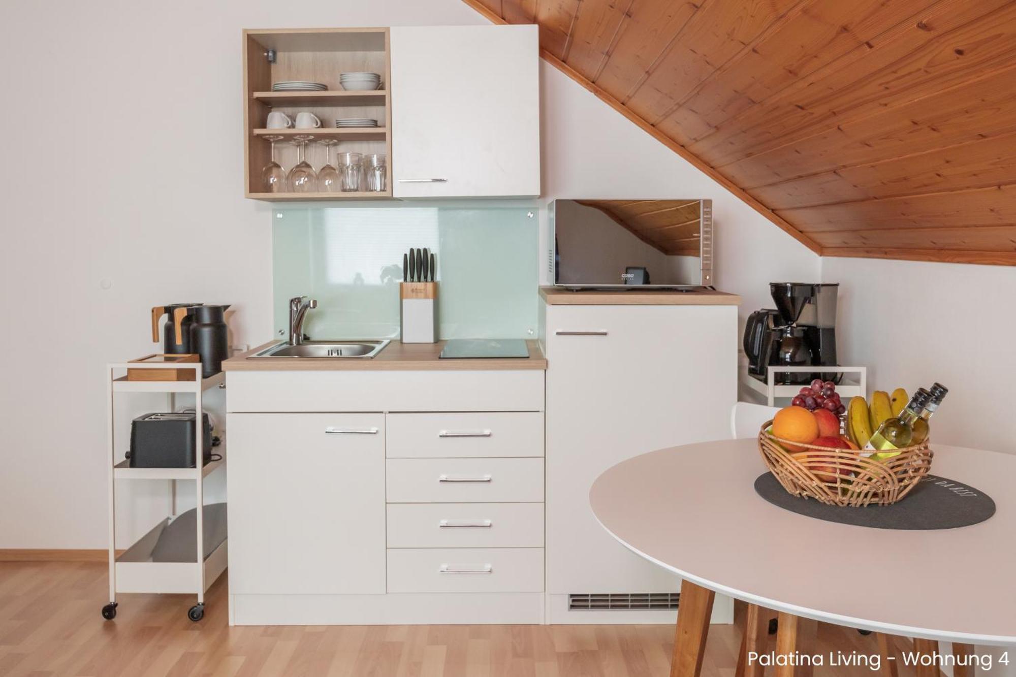 شقة Palatina Living Fischbach المظهر الخارجي الصورة