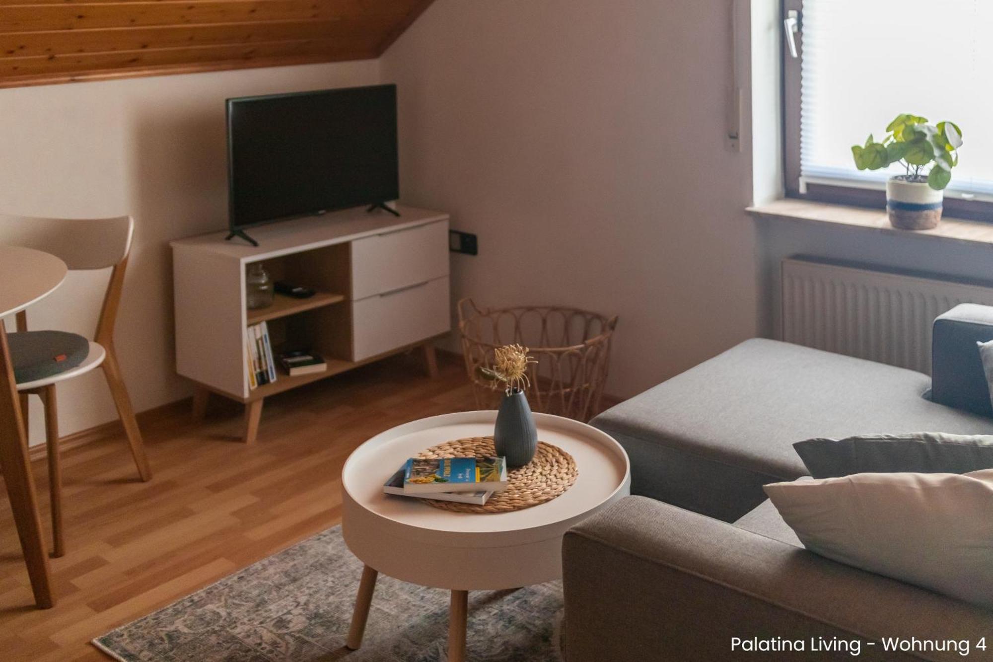 شقة Palatina Living Fischbach المظهر الخارجي الصورة