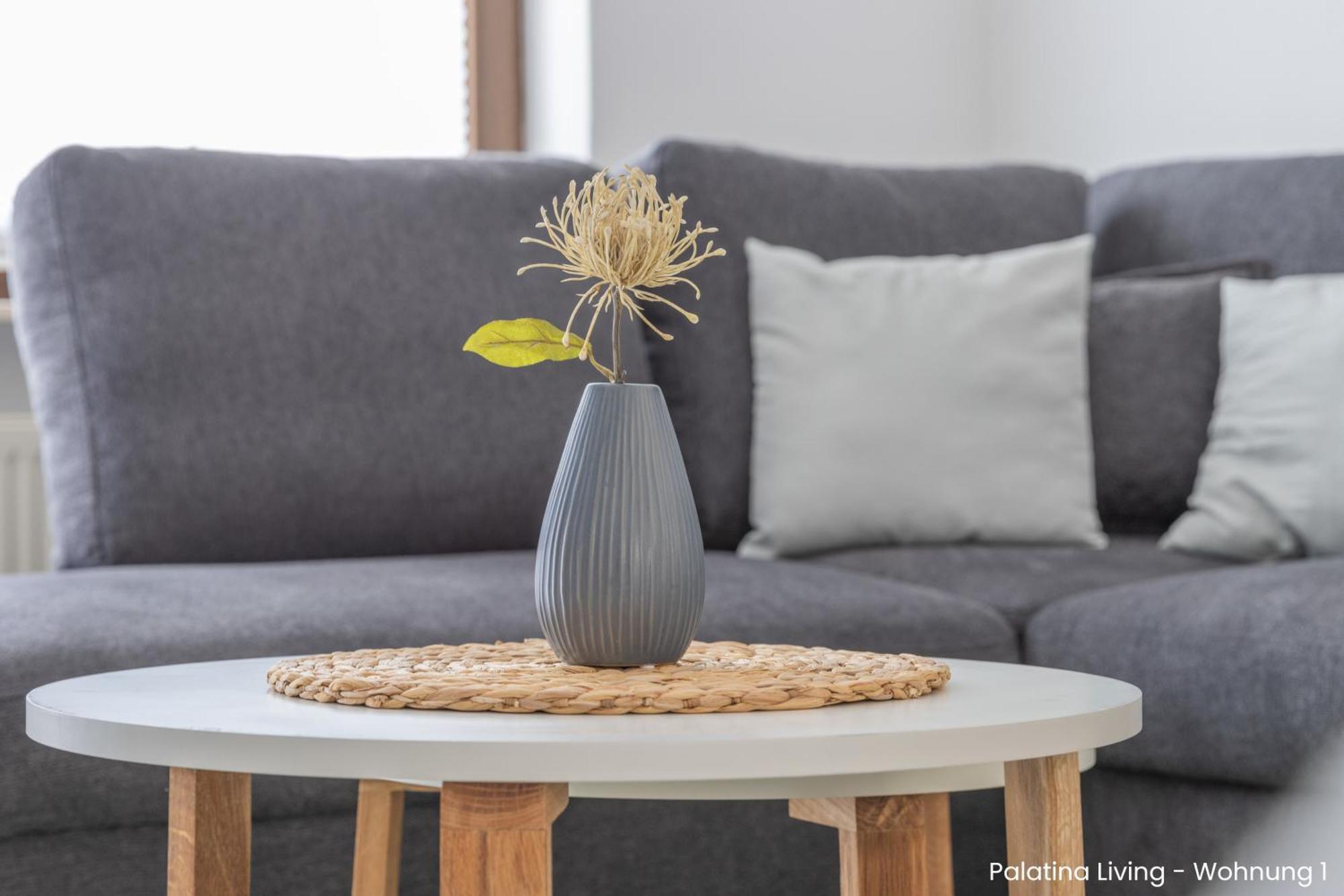 شقة Palatina Living Fischbach المظهر الخارجي الصورة
